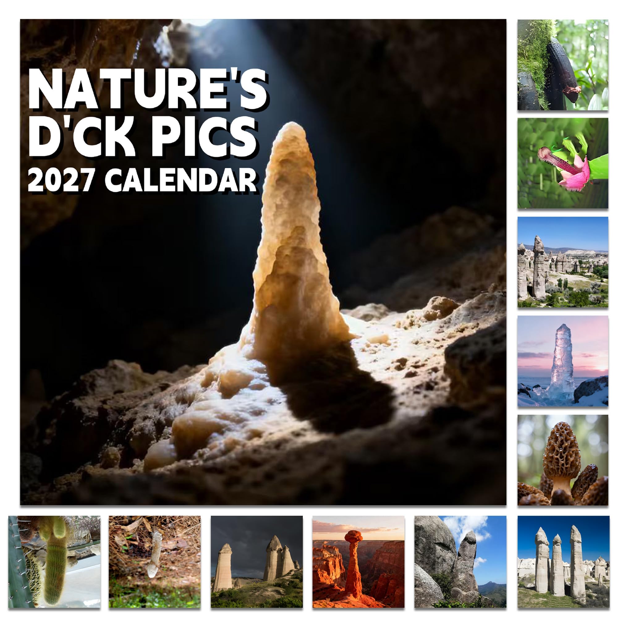 Rude & Funny Calendar 2027, Secret Santa gifts for Women,Gag Gifts 2027 Wall Calendar Nature’s D*ck Pics January - December for White Elephant Gifts (Nature)