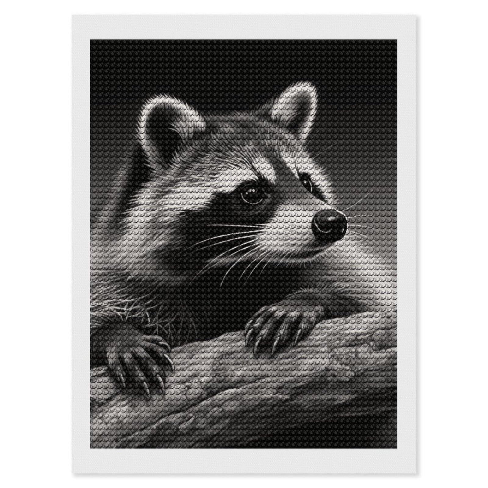 FodPand Raccoon Black 5D Diamond Painting Kits for Adults Beginners Full Drill Round Diamond Dots Pictures Gem Art Supplies for Home Wall Room Decoration DIY Craft Set Gift 12x16