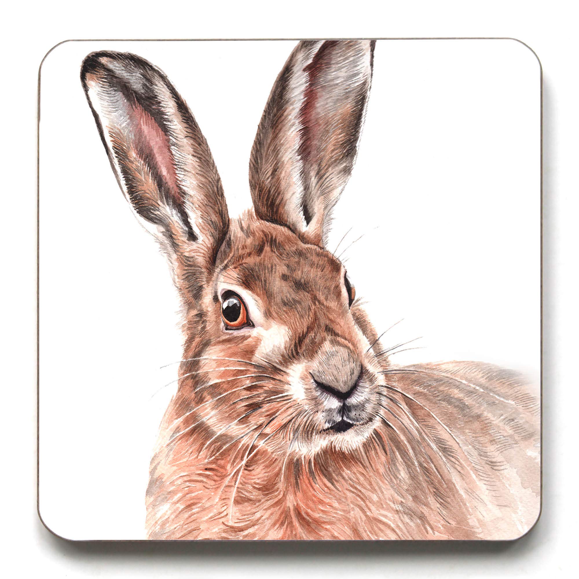 Waggydogz Hare Coaster (Cst-Wl03)
