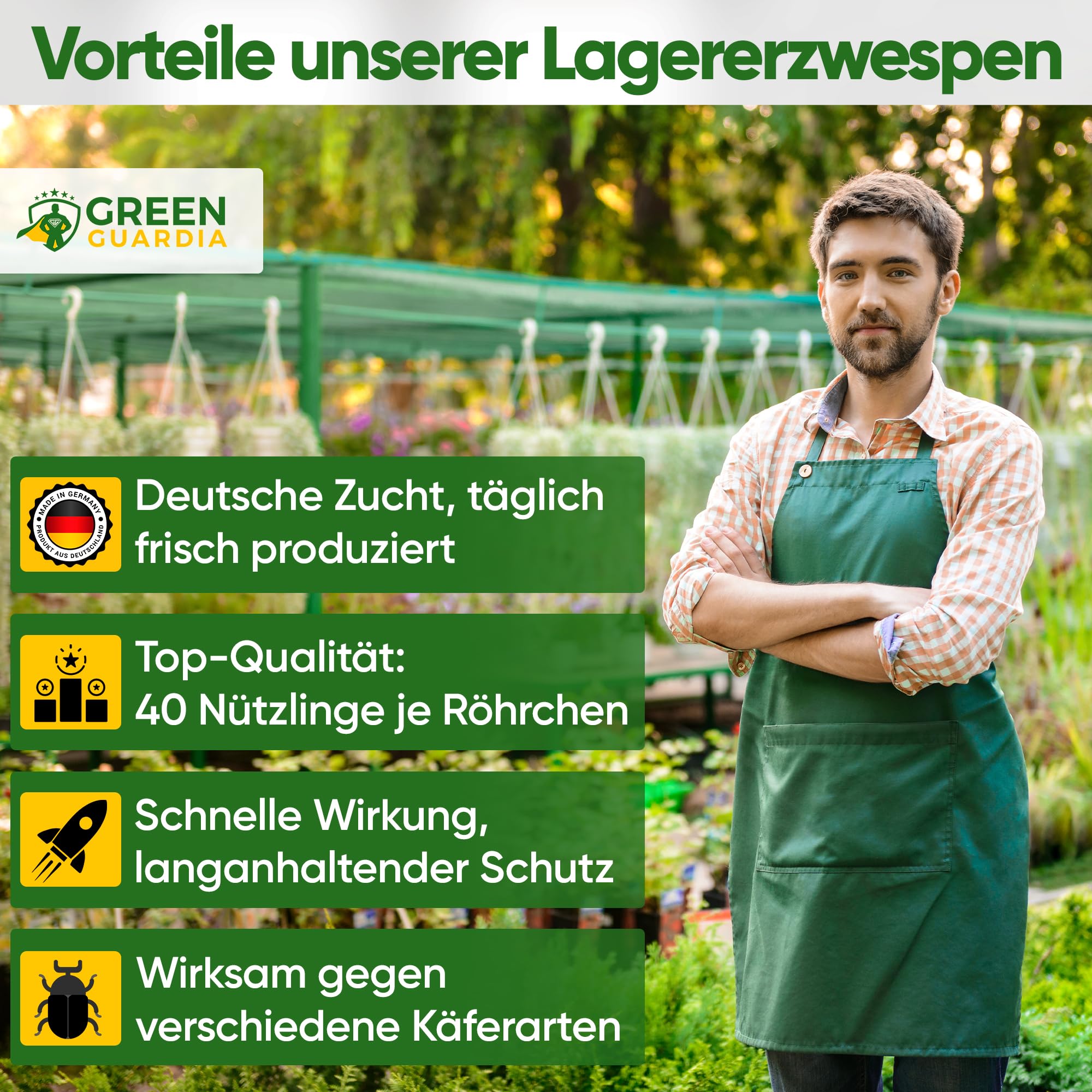 GREEN GUARDIA Lagererzwespen gegen Brotkäfer - 1 Röhrchen à 40 Nützlinge - effektiv Kornkäfer, Messingkäfer, Speckkäfer uvm. bekämpfen. Alternative zu Brotkäfer Falle und Kornkäfer Falle