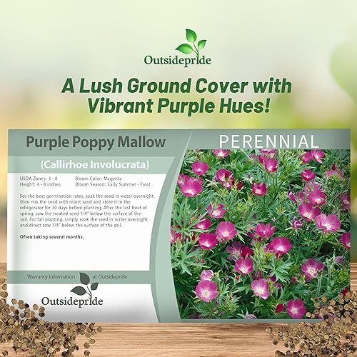 Miniatura 5 de Outsidepride Semillas de amapola de malva para plantar, 25 piezas de semillas de flores silvestres perennes, tolerantes a la sequía y fáciles de