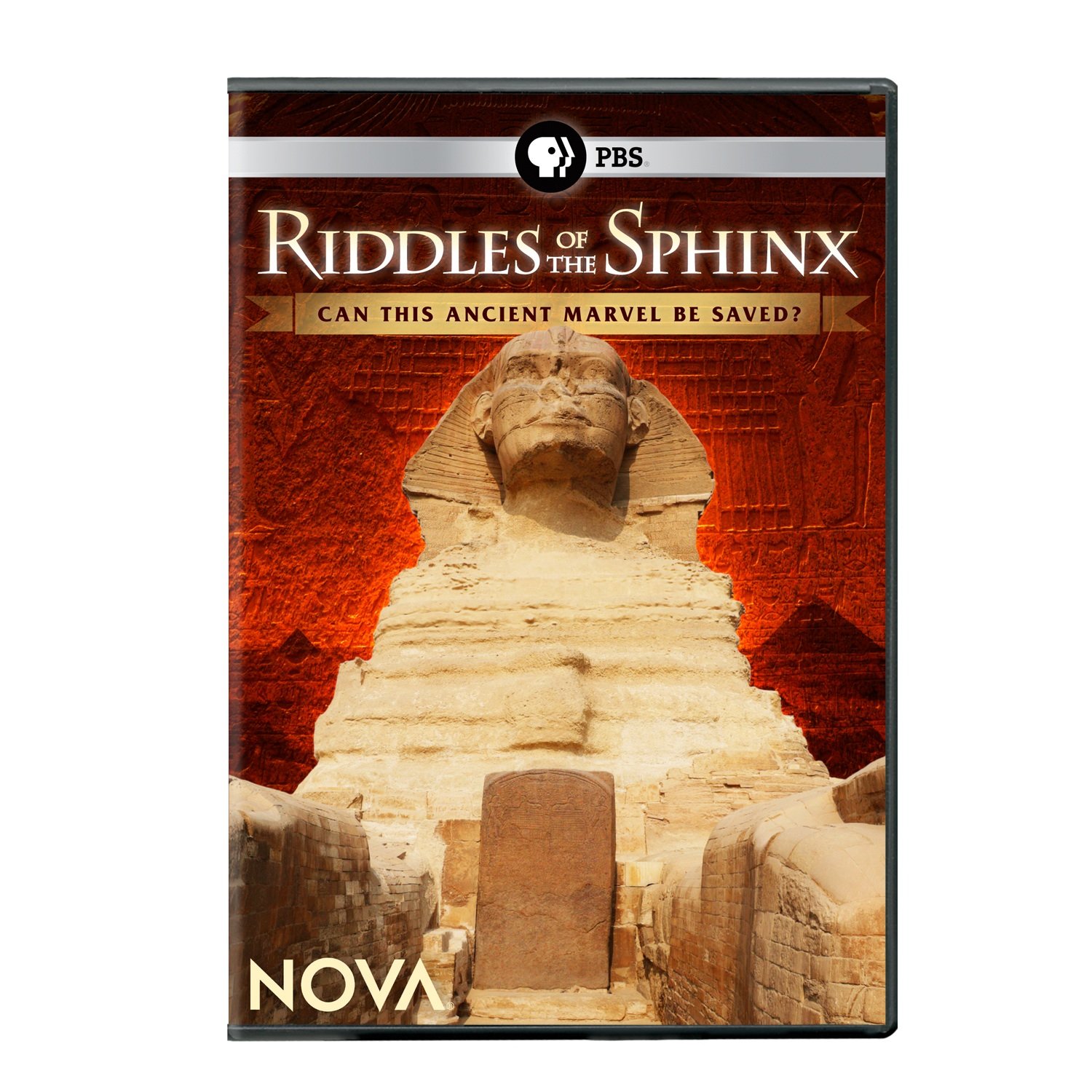 Amazon.com: Riddles of the Sphinx : Narrated by Jay O. Sanders, Gary ...