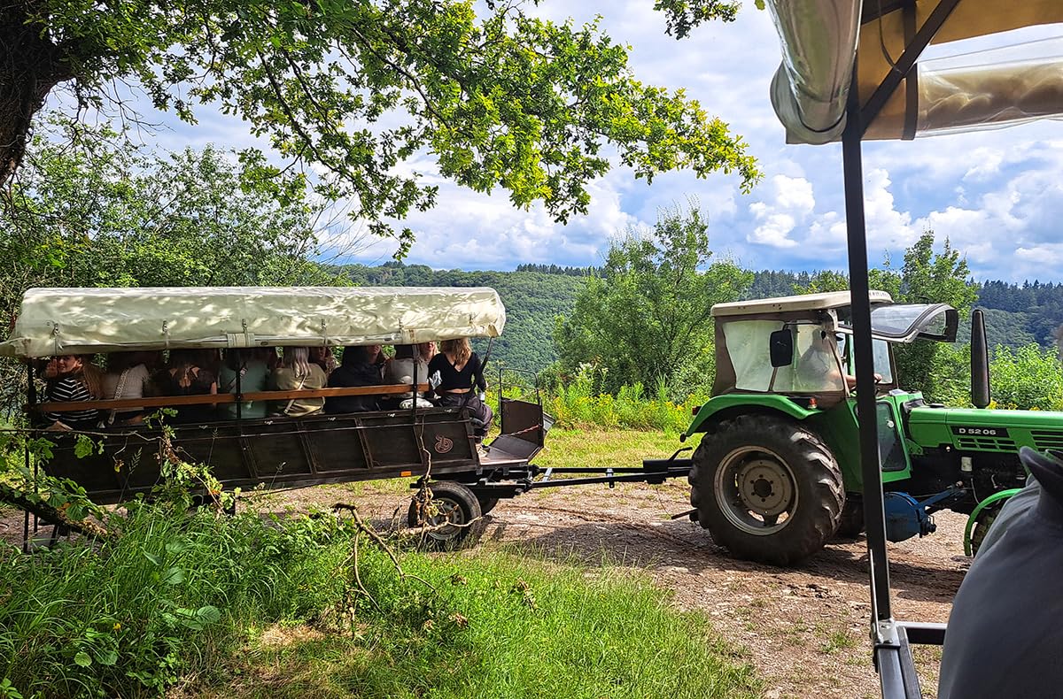 JOCHEN SCHWEIZER Geschenkgutschein: Weinausflug & Schifffahrt auf der Mosel Bullay