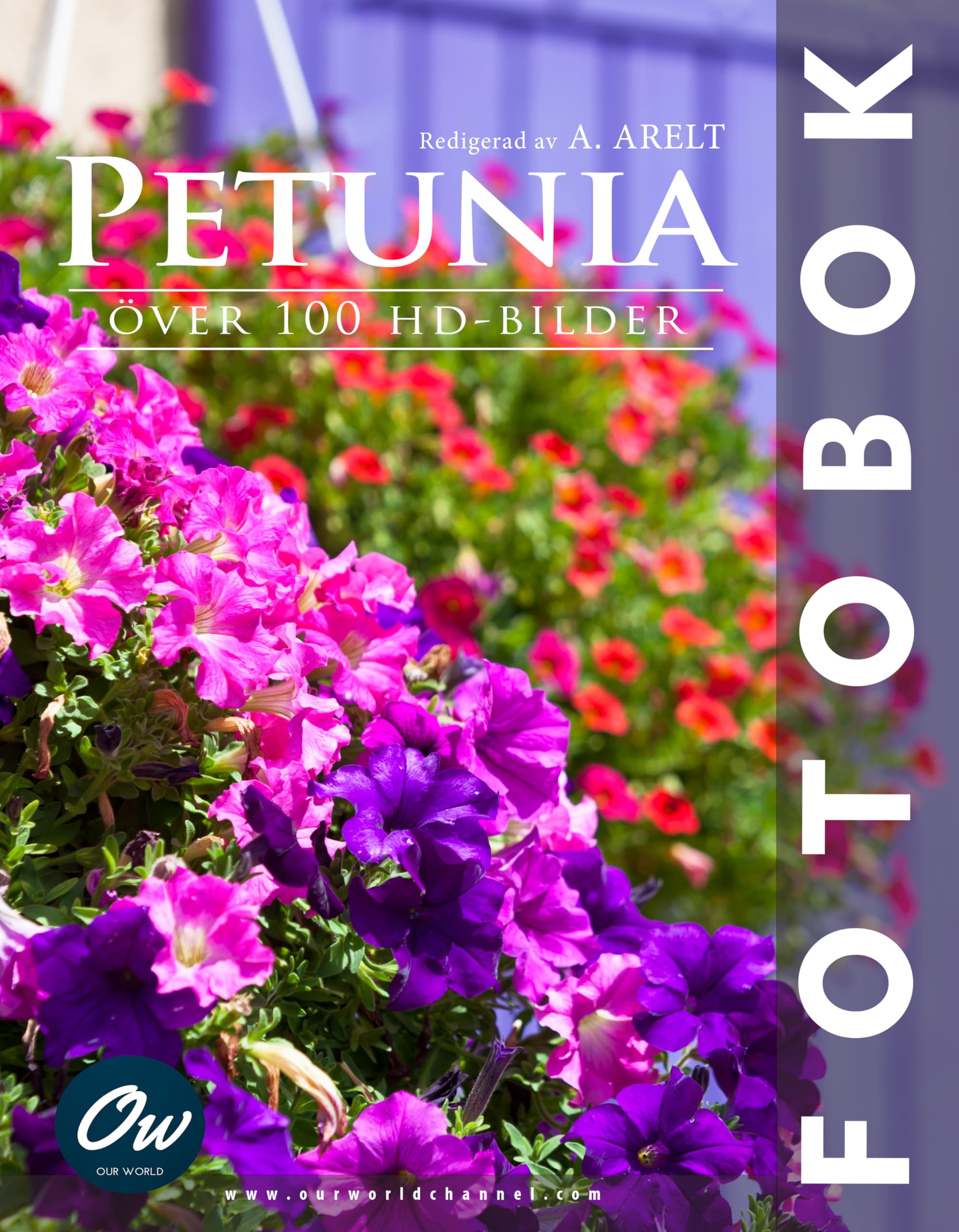 Petunia livre images HD plus de 100 photos botaniques en édition haute définition