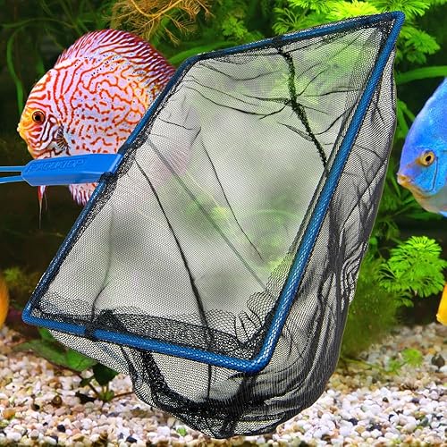 Miniatura 3 de AquaTop AQ-FN05F - Red para peces de acuario de malla fina de 5 pulgadas con mango azul de 10 pulgadas, suave, segura y duradera, ideal para tanques