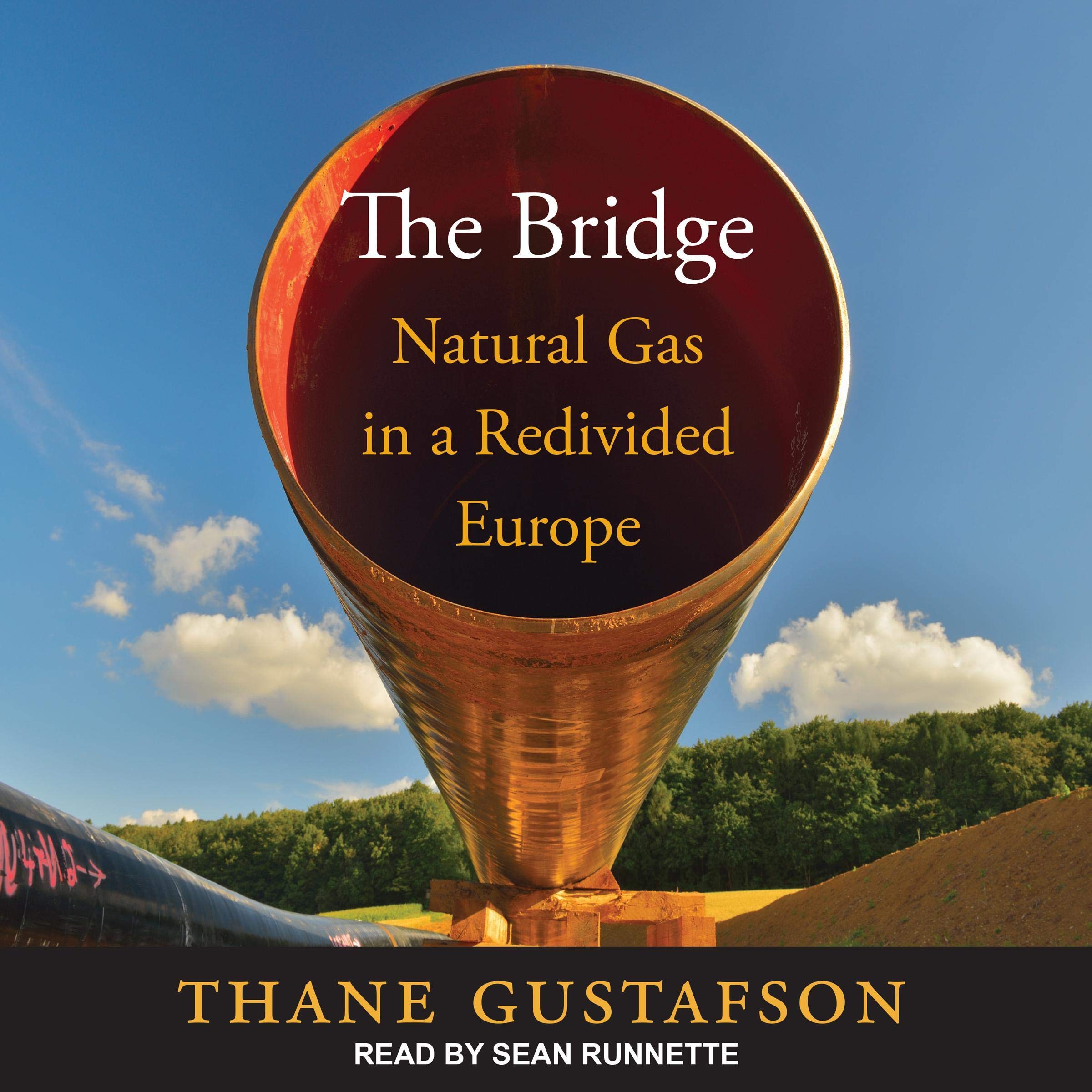 Cover art for The Bridge