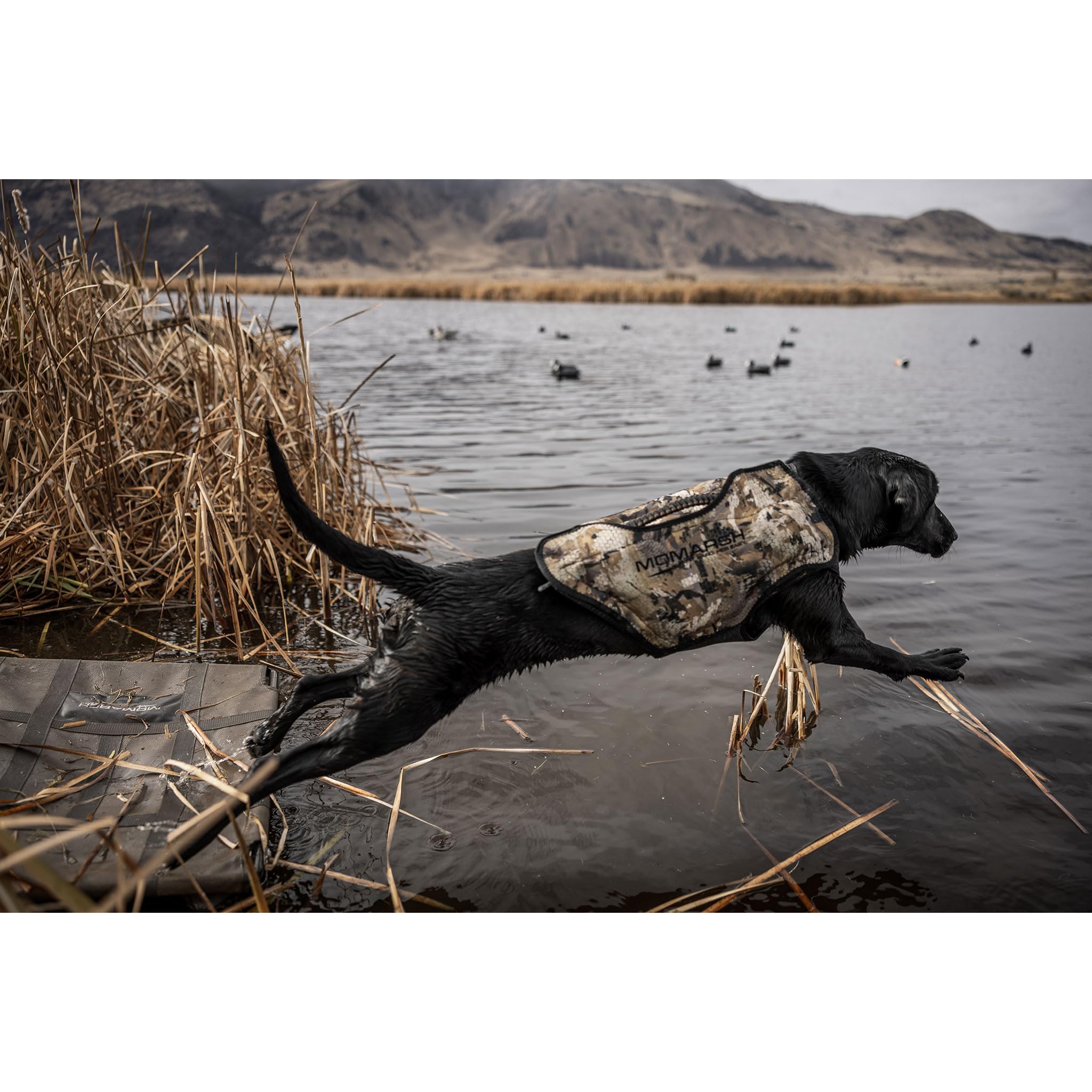 Amazon.com : Momarsh Versa Vest Flotation Panels | Increased