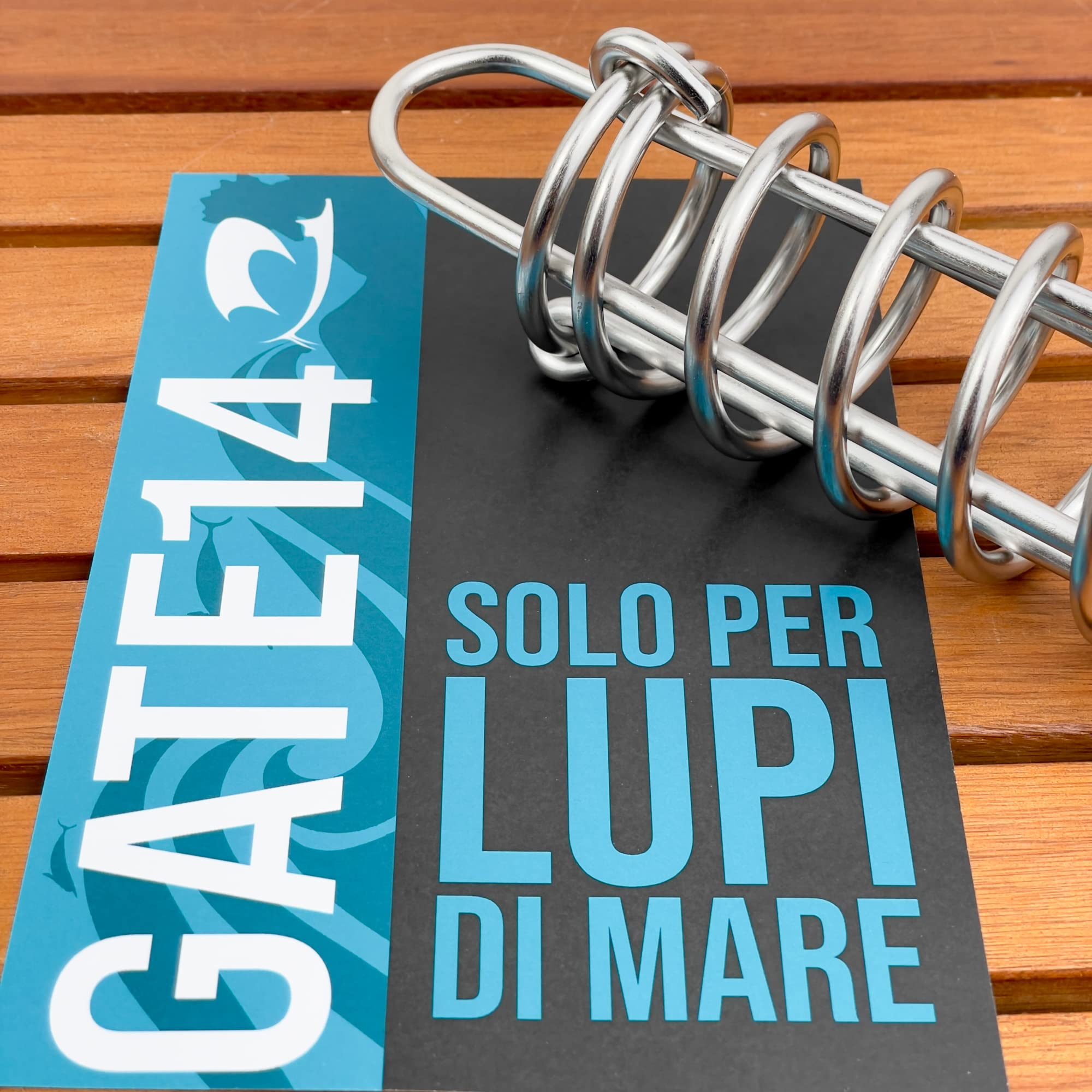 GATE14® Muelle de Amarre de Acero Inoxidable para Barco de 6 m, 315 x 60 mm