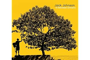 Jack Johnson - In Between Dreams