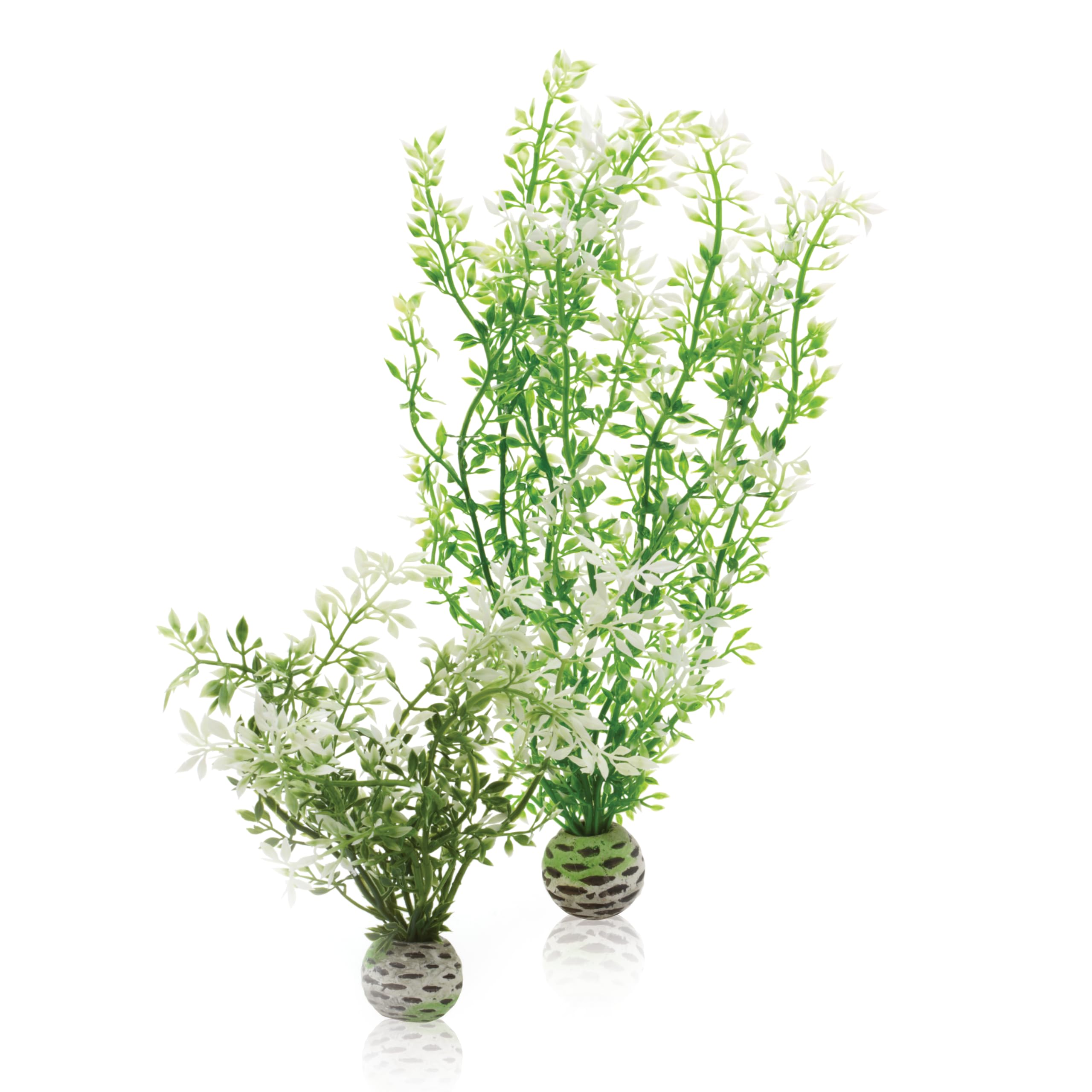 Oase Biorb Easy Plant Winter FlowersMedium from B&Q