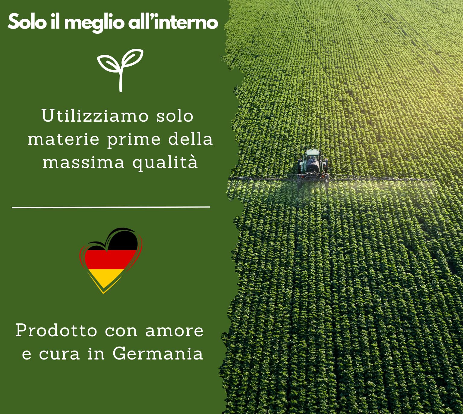 Vitamina A in gocce di EXVital – 5000 UI (1500 µg) per dose giornaliera, 50 ml = 1700 gocce, testata in laboratorio, retinolo ad alto dosaggio – vegana – vitamina A liquida