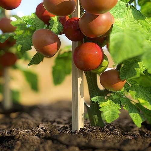 Miniatura 3 de Greenes Fence Estacas de grado de 18 pulgadas de largo (paquete de 48)