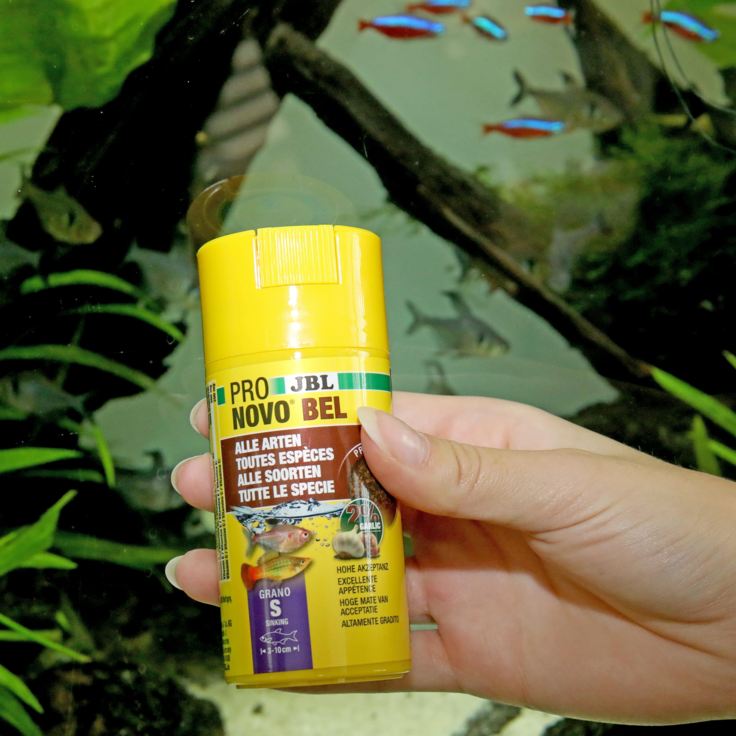 JBL PRONOVO BEL GRANO, Aliment de Base pour tous Poissons d'Aquarium de 3-10 cm, Granulés pour Poissons, Doseur à clic, taille S, 100 ml