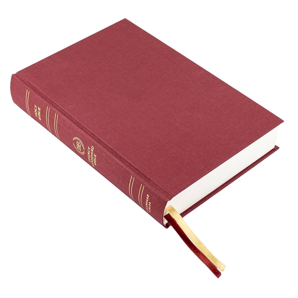 ビンテージ　HOLY BIBLE 聖書　2冊セット ビンテージ HOLY BIBLE 聖書 2冊セット ビンテージ HOLY BIBLE