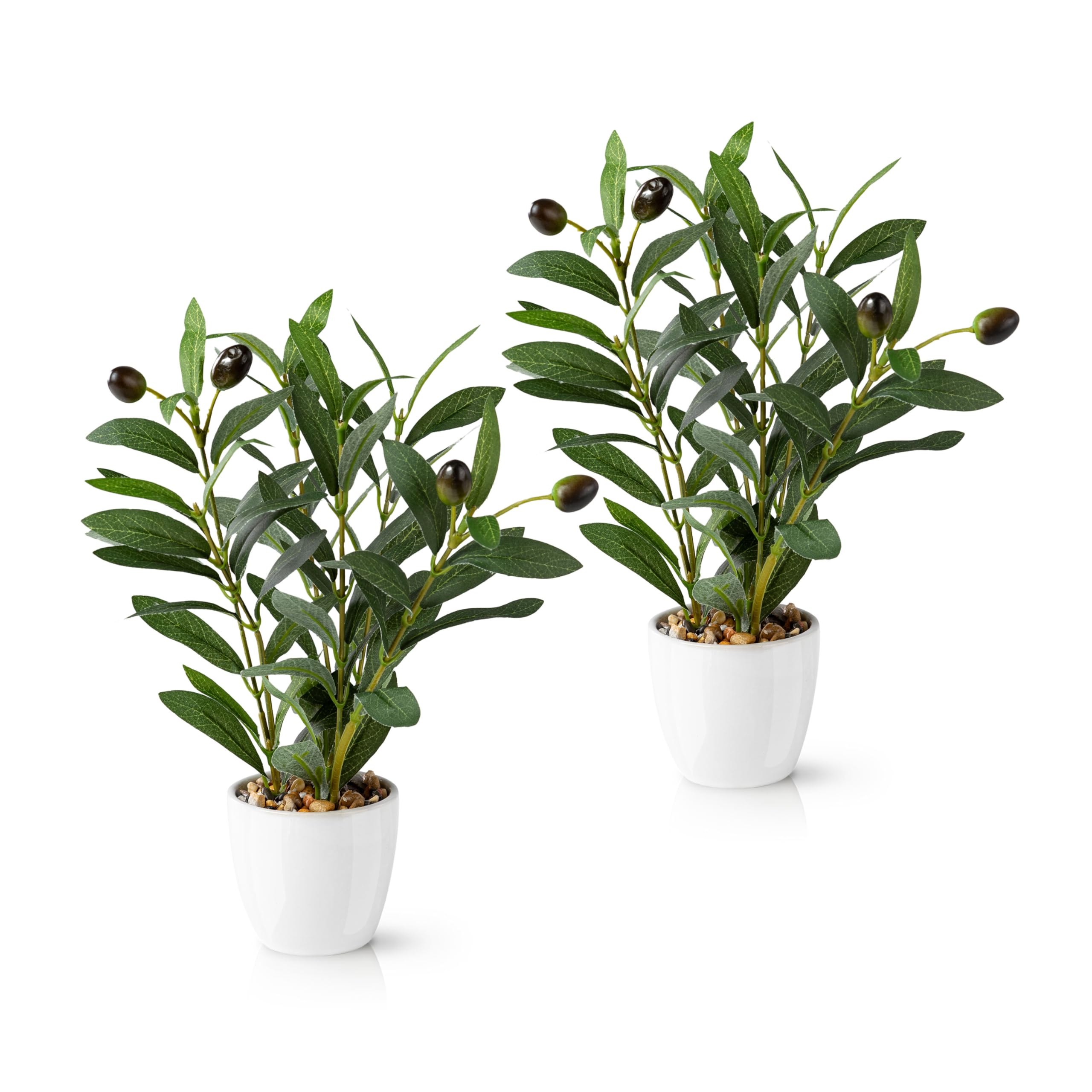 Amazon.de: PASCH 2er Set knstlicher Olivenbaum (26cm) in weien  Keramiktpfen: Kunstpflanzen wie echt | Knstliche Pflanzen im Topf | Fake  Plant: Olive Tree | Olivenbaum knstlich klein | Kunstblumen im Topf