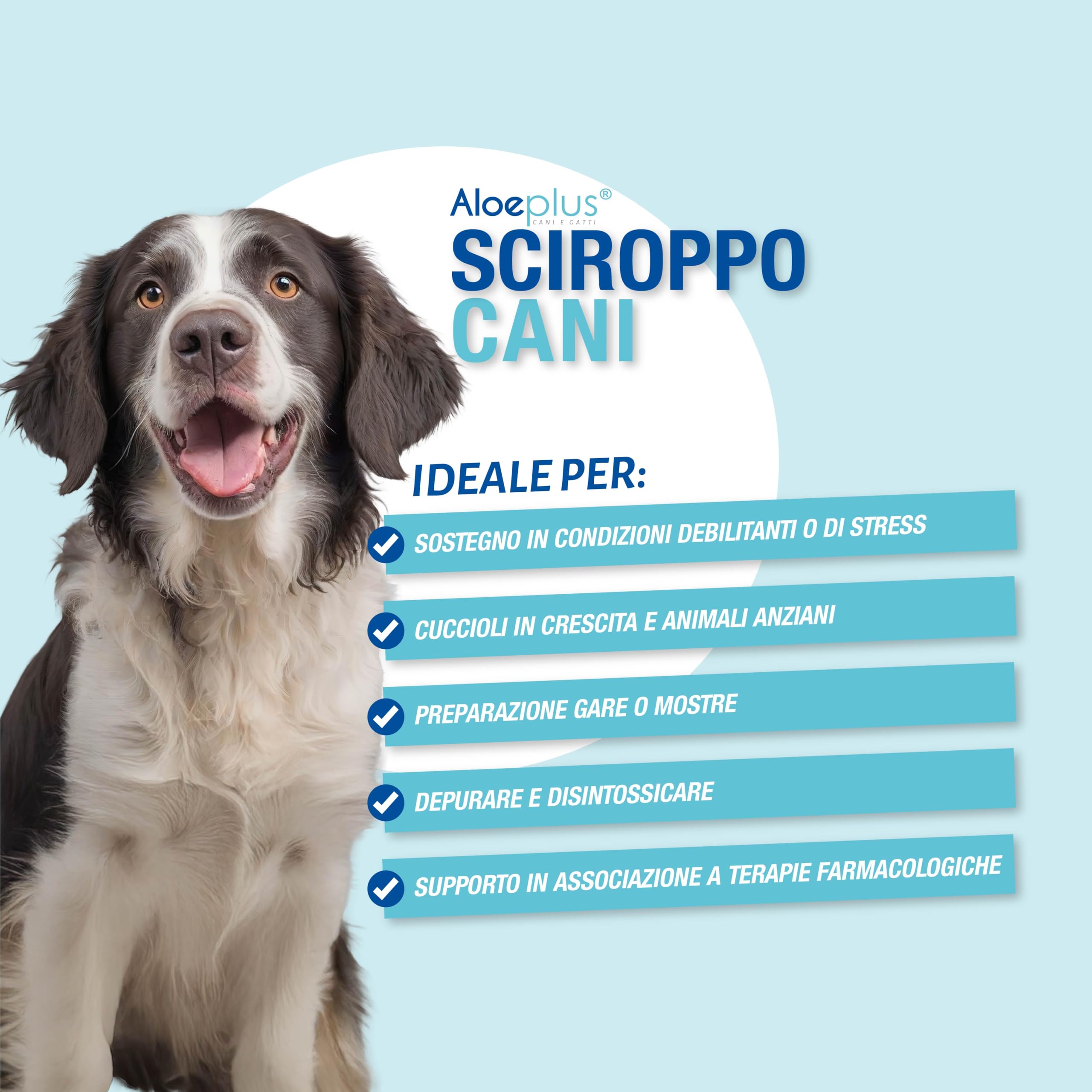 ALOEPLUS Cani Sciroppo 250ml - Alimento Complementare Energetico, Disintossicante a base di Aloe Arborescens BIO, Rafforza le Naturali Difese, Ideale come ricostituente Cani Anziani e Cuccioli