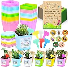Gifts for Students from Teachers, 36 Pack Class Gifts for 30 School Children, End of Term Gifts for Children, 36Pcs Flower Pots with Plates, Labels, Envelopes, Stickers, Year 6 Leavers Gifts