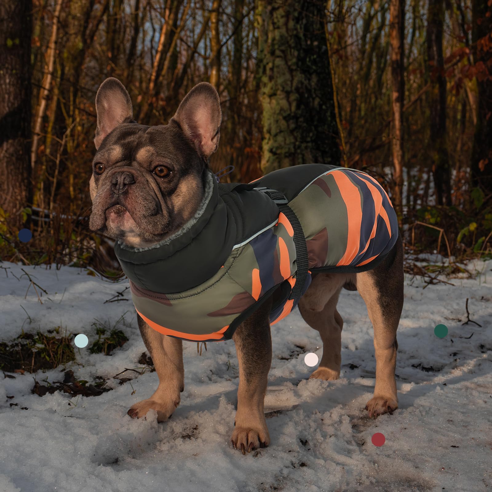 IECOii Abrigo extra cálido para perro, reflectante, ajustable, abrigo de invierno para perro con hebilla, chaqueta de forro polar con cuello alto para clima frío, abrigo de invierno suave para perros