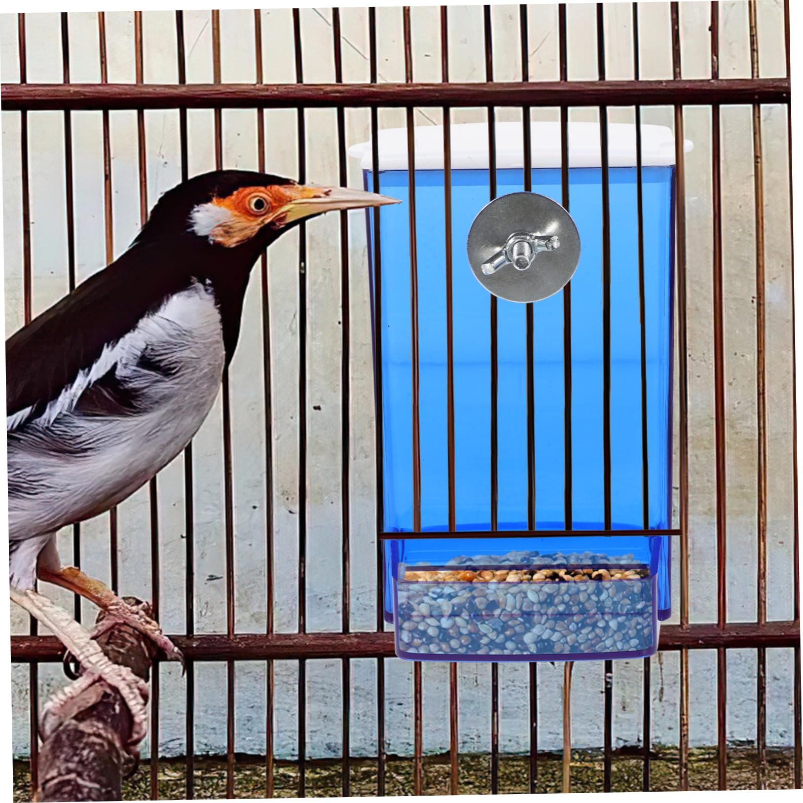 Yardwe 5stücke Automatischer Vogelfutterspender Für Käfige Transparente Futterstation Für Wellensittiche Und Kanarienvögel Praktische Und Einfach Zu Reinigende Futterbox Mit