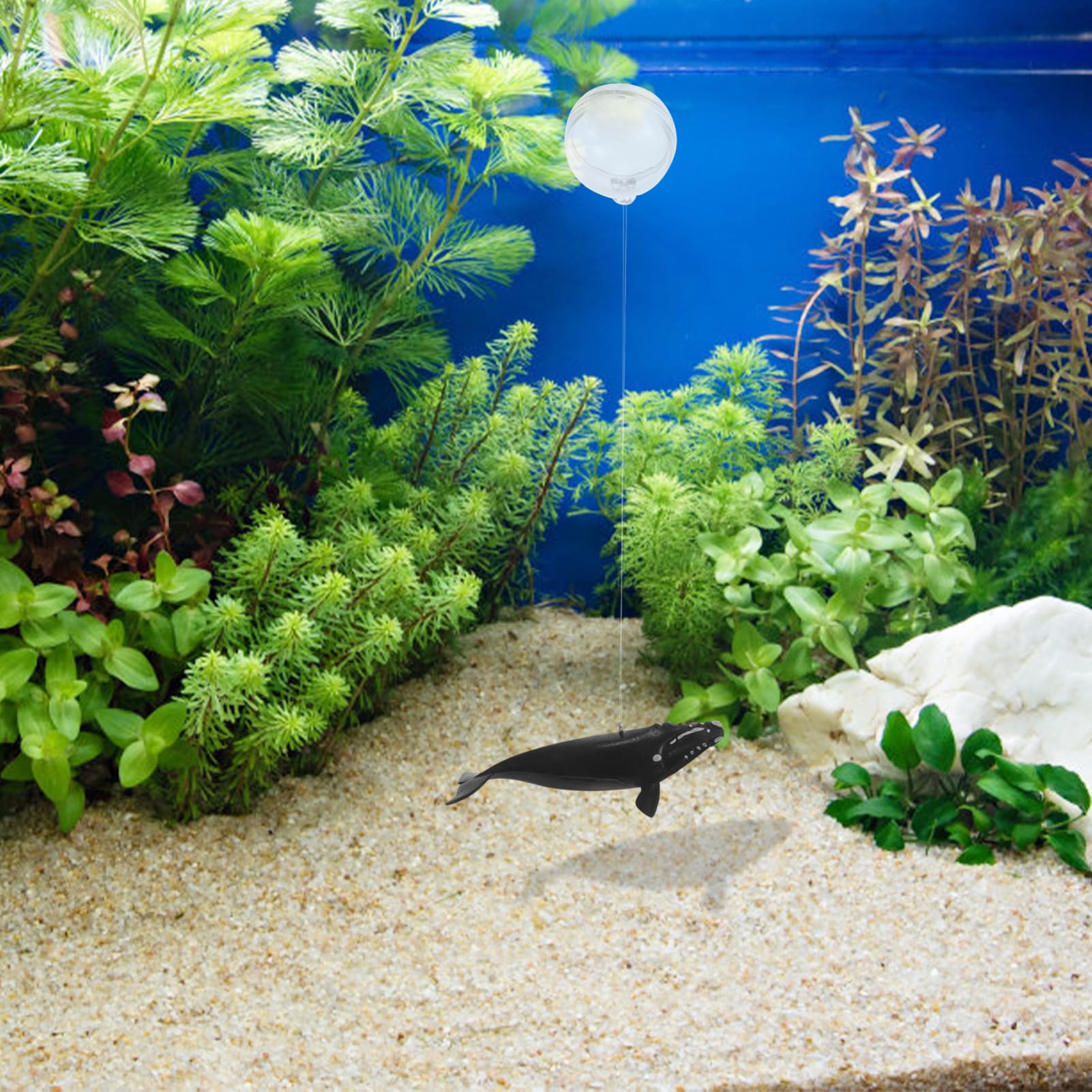 Amazon | Toddmomy 6個セット 水槽の装飾 浮かぶクジラの装飾 水槽の