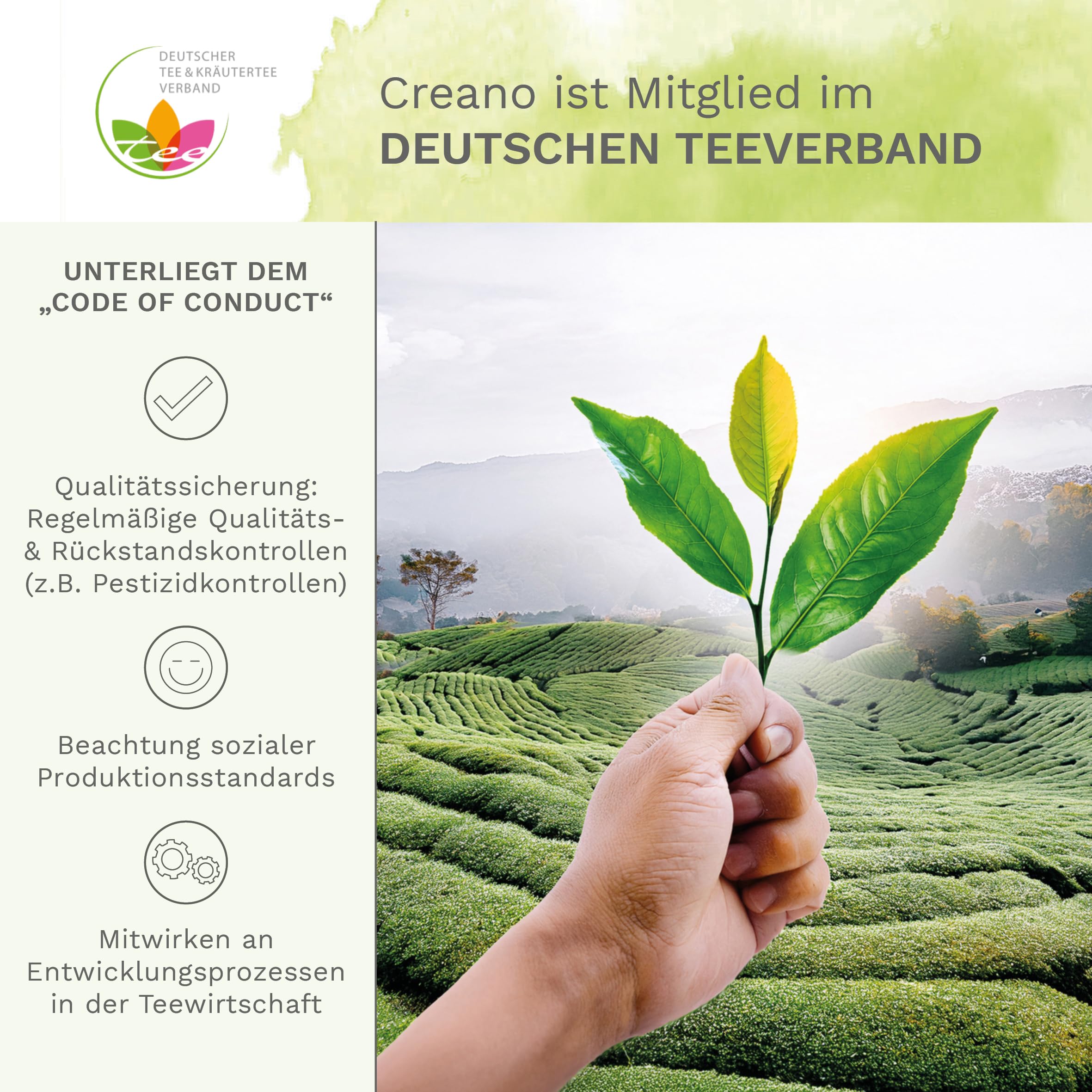 Creano Teeblumen Geschenkset - Flower Design - Erblühtee Frühjahrslese mit 500 ml Glaskanne und 6x grüner Tee - Geschenk zu Valentinstag, Muttertag
