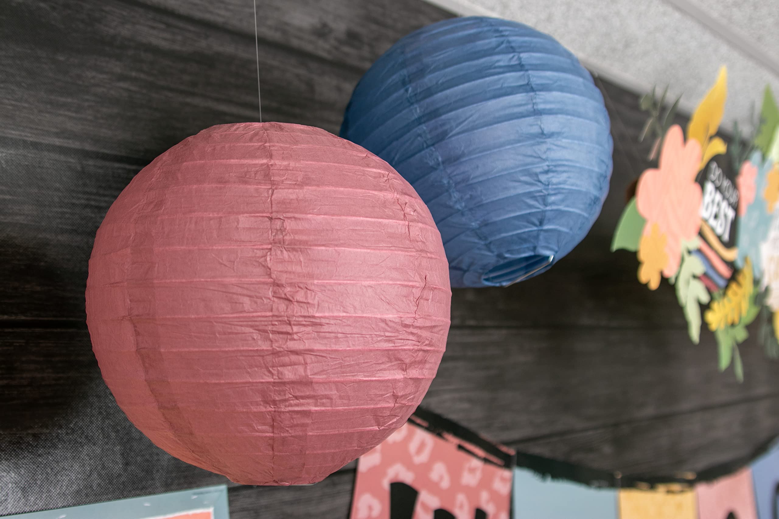 Teacher Created Resources Wonderfully Wild 8
