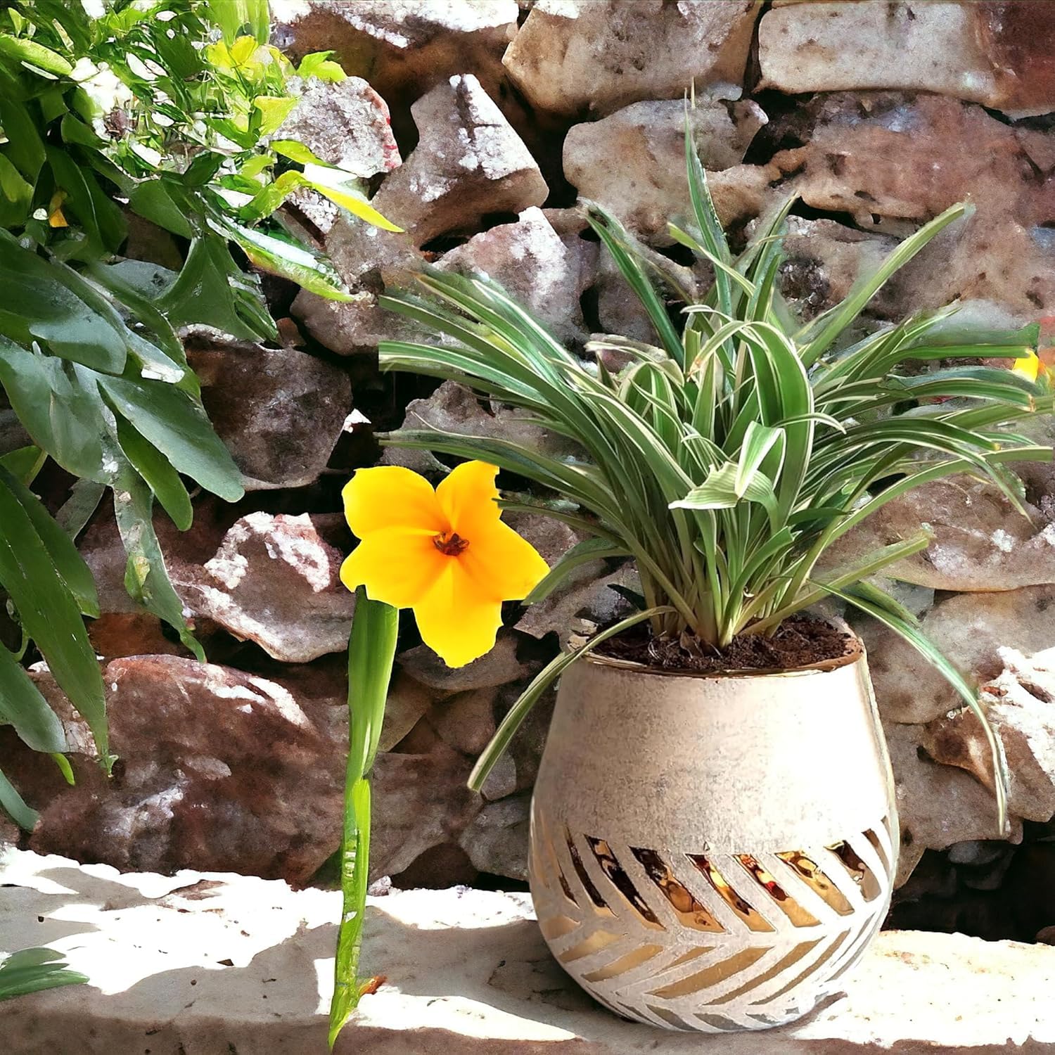 Fox & Fern Ceramic Flower Pot - 5 Inch -3