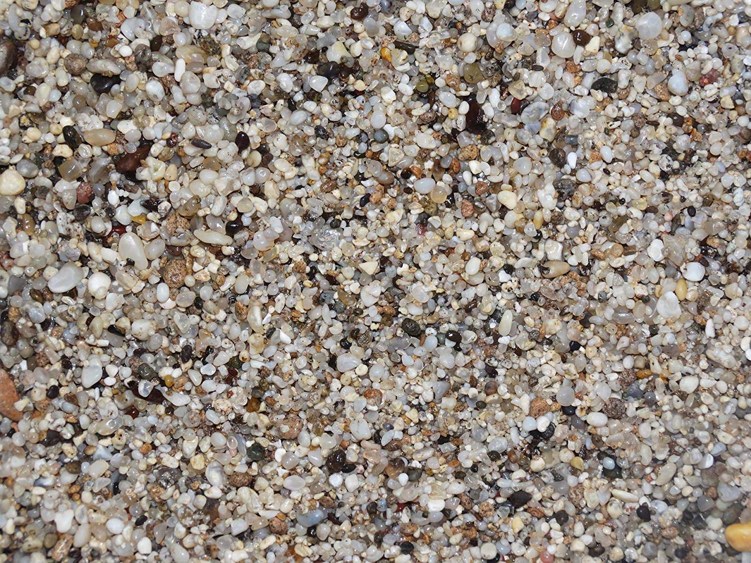 VENUS AQUAReef Sand Substrate Sand Soil Stone Gravel Pebbles for Aquarium Fish Tank (5 kg)
