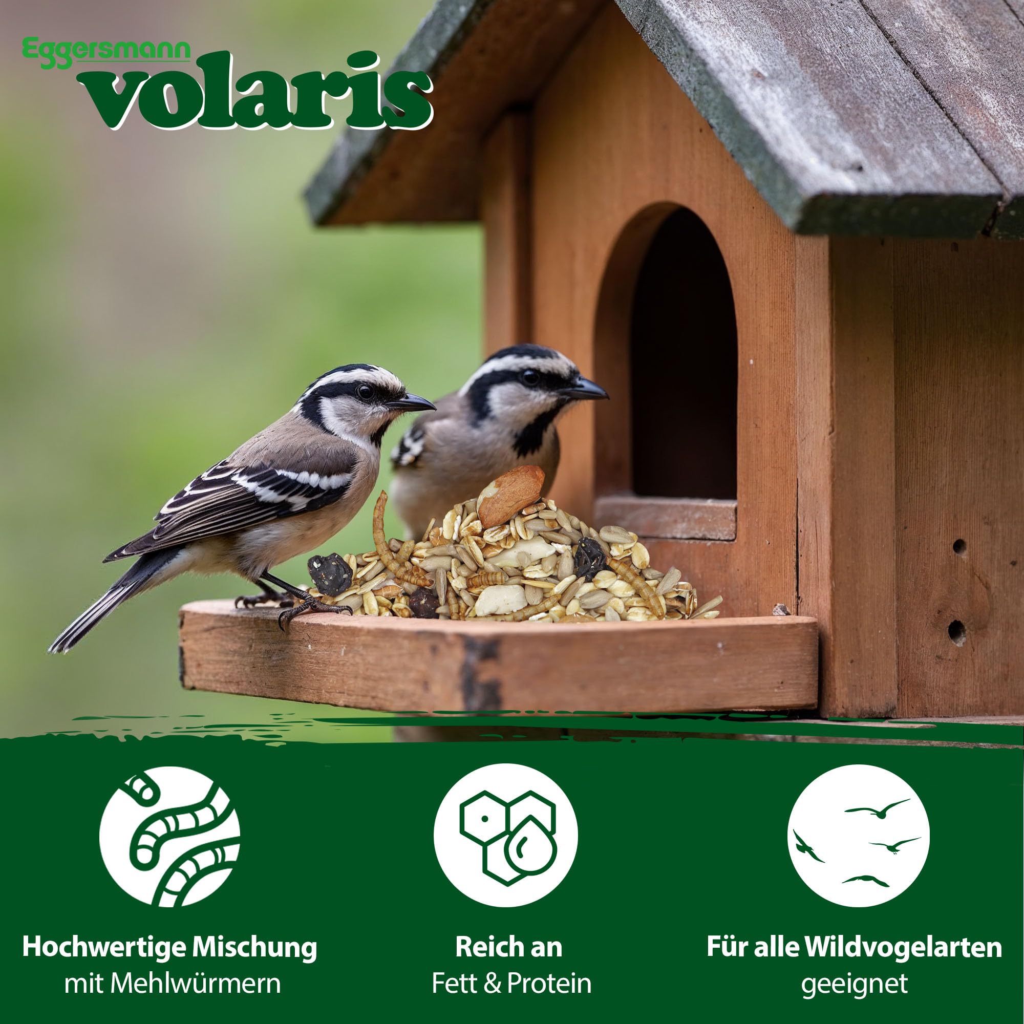 Eggersmann volaris Terrassenkörner mit Insekten 10 kg – Schalenfreies Wildvogelfutter mit Mehlwürmern, Sonnenblumenkernen UVM. – Ganzjahresfutter, Protein- & energiereich – Streufutter für Wildvögel