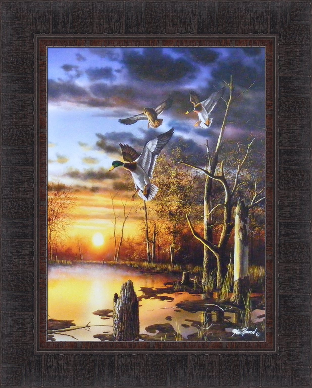Amazon.com: Evening Splendor by Jim Hansel 17x21 Mallards Ducks