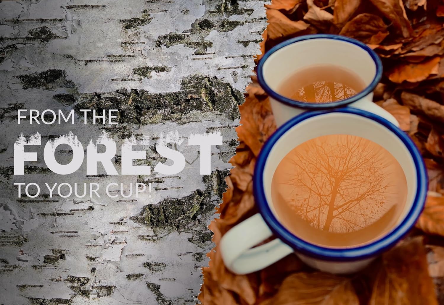 Premium Organic Chaga Mushroom Chunks - 8 oz of Authentic 100% Wild Harvested Canadian Chaga Tea - Superfood