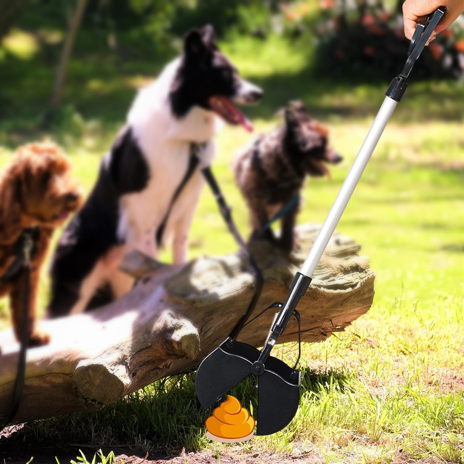 Ailan Ramasseuse à Lapins Portable d'extérieur, Facile à Utiliser avec Un Long Manche, pour Les propriétaires d'animaux. Outil Pratique pour Nettoyer Les déjections Canines dans Le Jardin