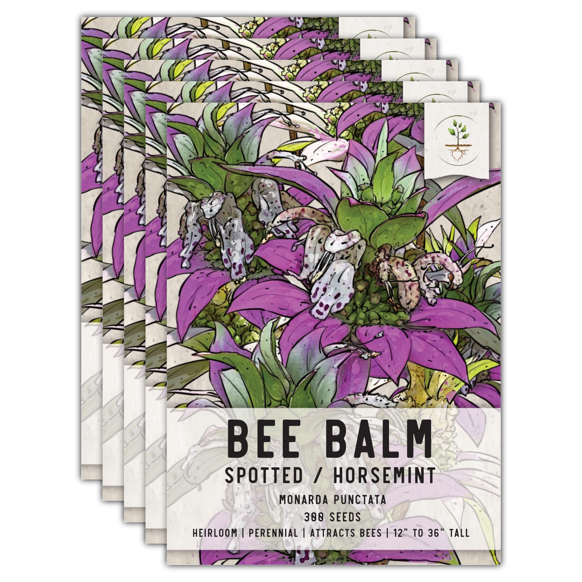 Seed Needs Spotted Bee Balm