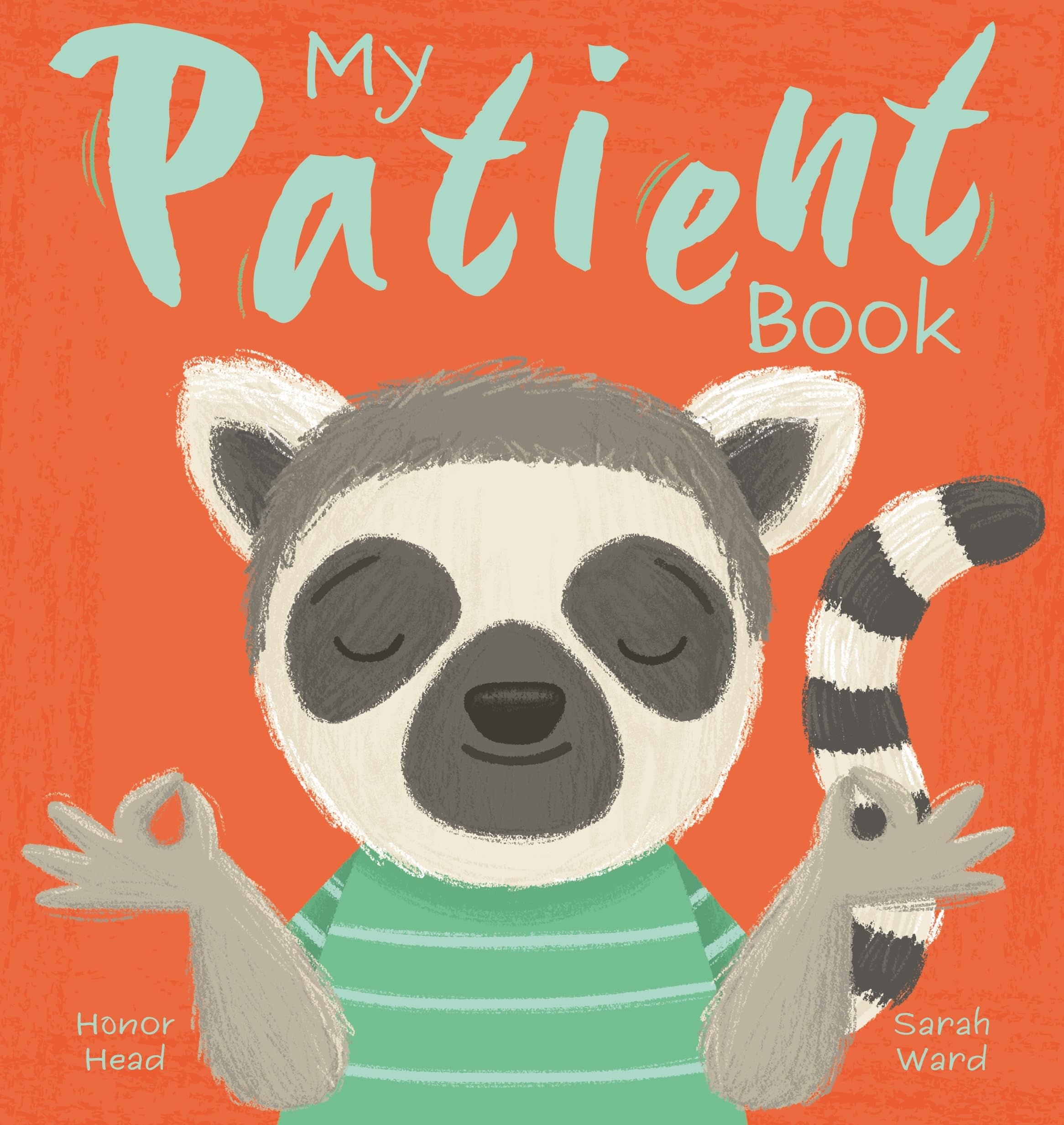 My Patient Book: A Picture Book on Understanding and Managing Emotions (My Feelings Picture Books)