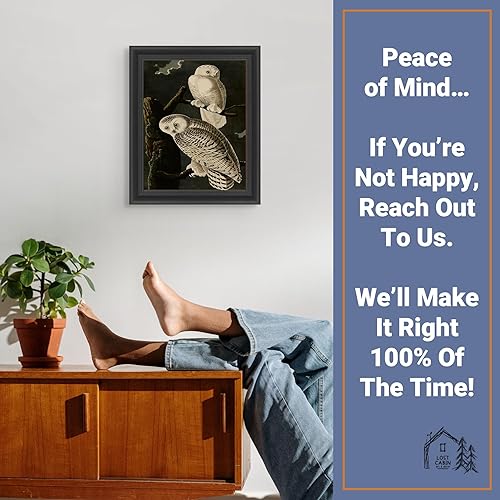 Miniatura 5 de Lost Cabin Snowy Owl de James Audubon  Impresión enmarañada en marco plano negro  Reproducción de pintura de obras de arte finas  Póster decorativo