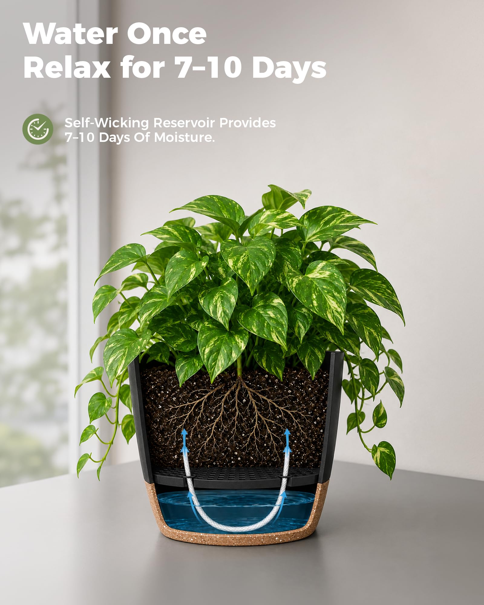 Bamworld Pot de Plantes d'Intérieur avec Drainage 6 Pcs Pots en Plastique Auto-irrigants 12.7cm/14cm/15.2cm/16.5cm/17.8cm/20.3cm pour Plantes d'Intérieur, Fleurs, Cactus