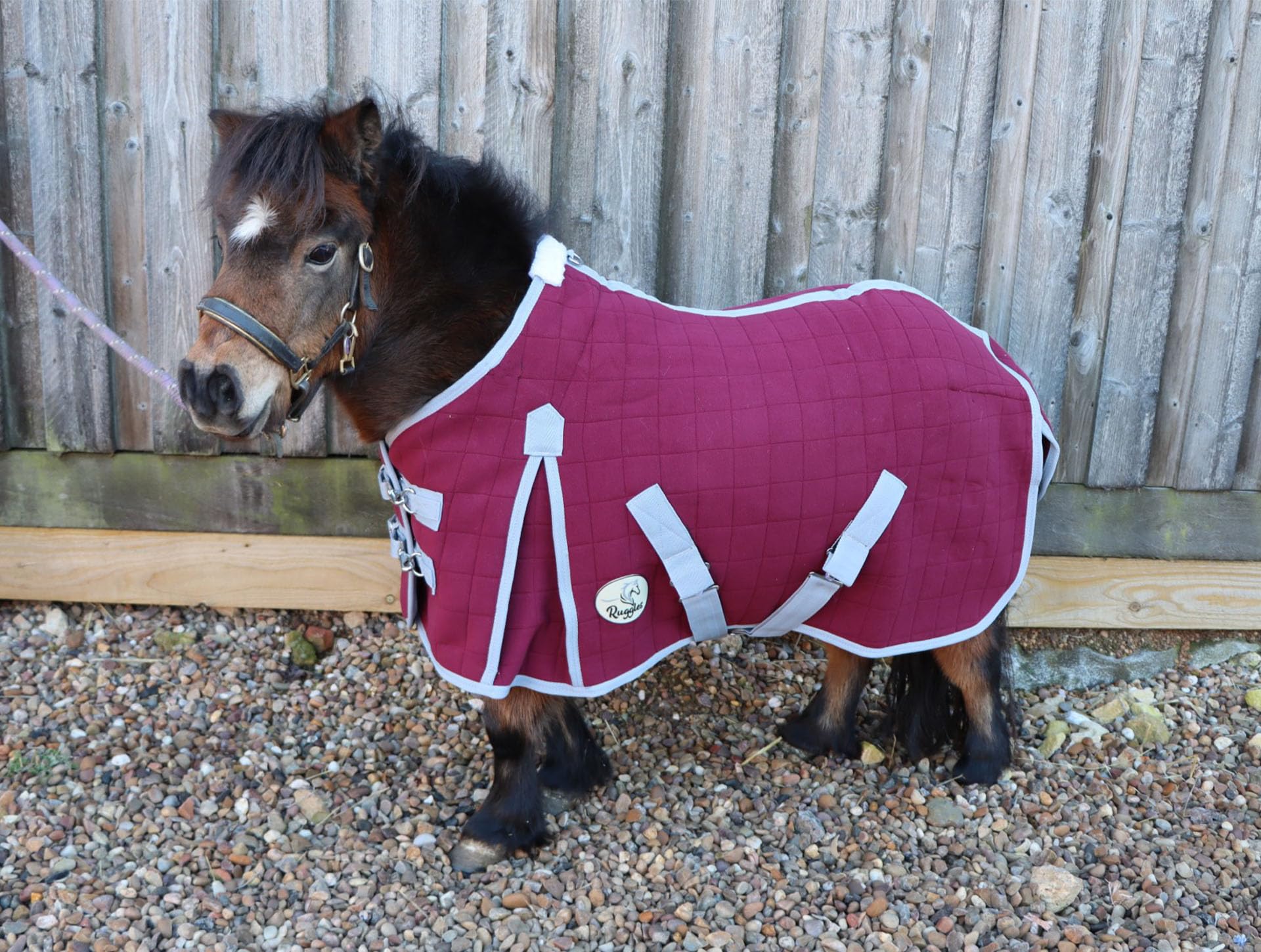 Ruggles Triple Layer Moisture Wicking Rug for Shetland Ponies, Donkeys and Miniatures- Ideal for Travel Shows Stable and Cooling/Drying after Exercise or Bathing (Burgundy, 4' 6")