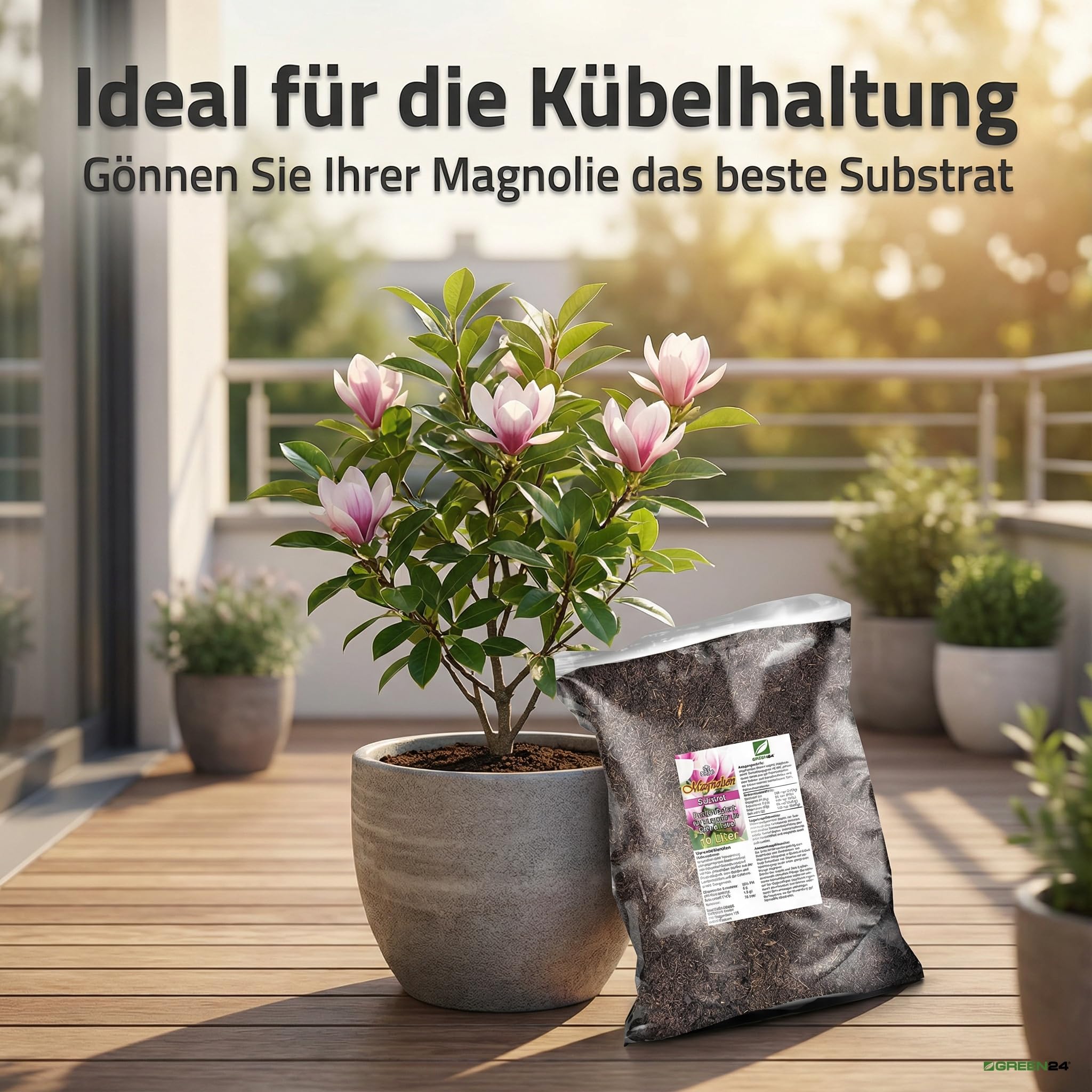 GREEN24 Magnolien Erde 10L - Spezial Substrat fr Magnolienbume &  Strucher - Profi Linie fr spektakulre Blten & gesunde Wurzeln :  Amazon.de: Garten