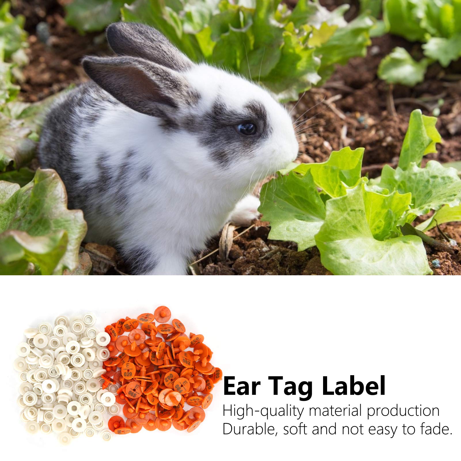 Marchi auricolari,100 Set Etichette auricolari Scheda di identificazione del bestiame,Conigli Marchi Auricolari, Marchi Auricolari Numerati per Conigli capre Maiali di pecora