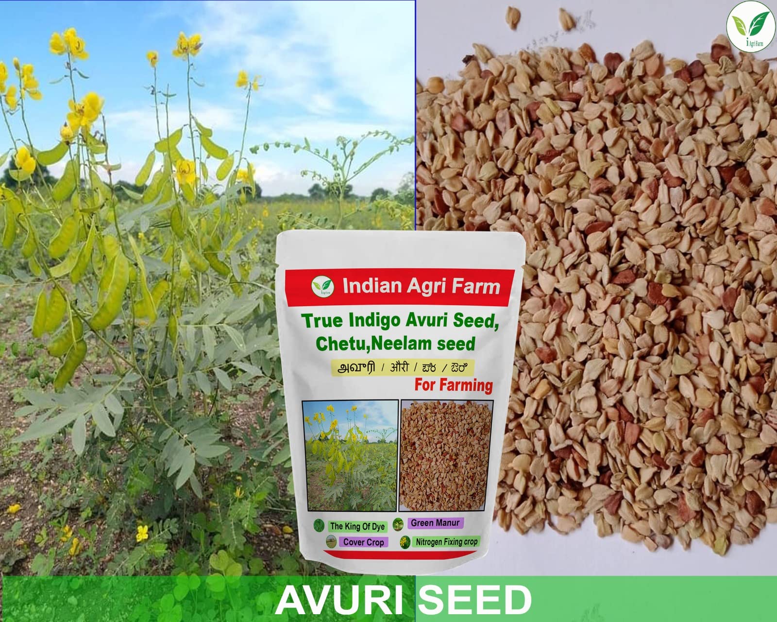 Iagrifarm True Indigo Seed - 250 g -Neeli Avuri/chetu/Neelam/Neel Seed for Plantation 2