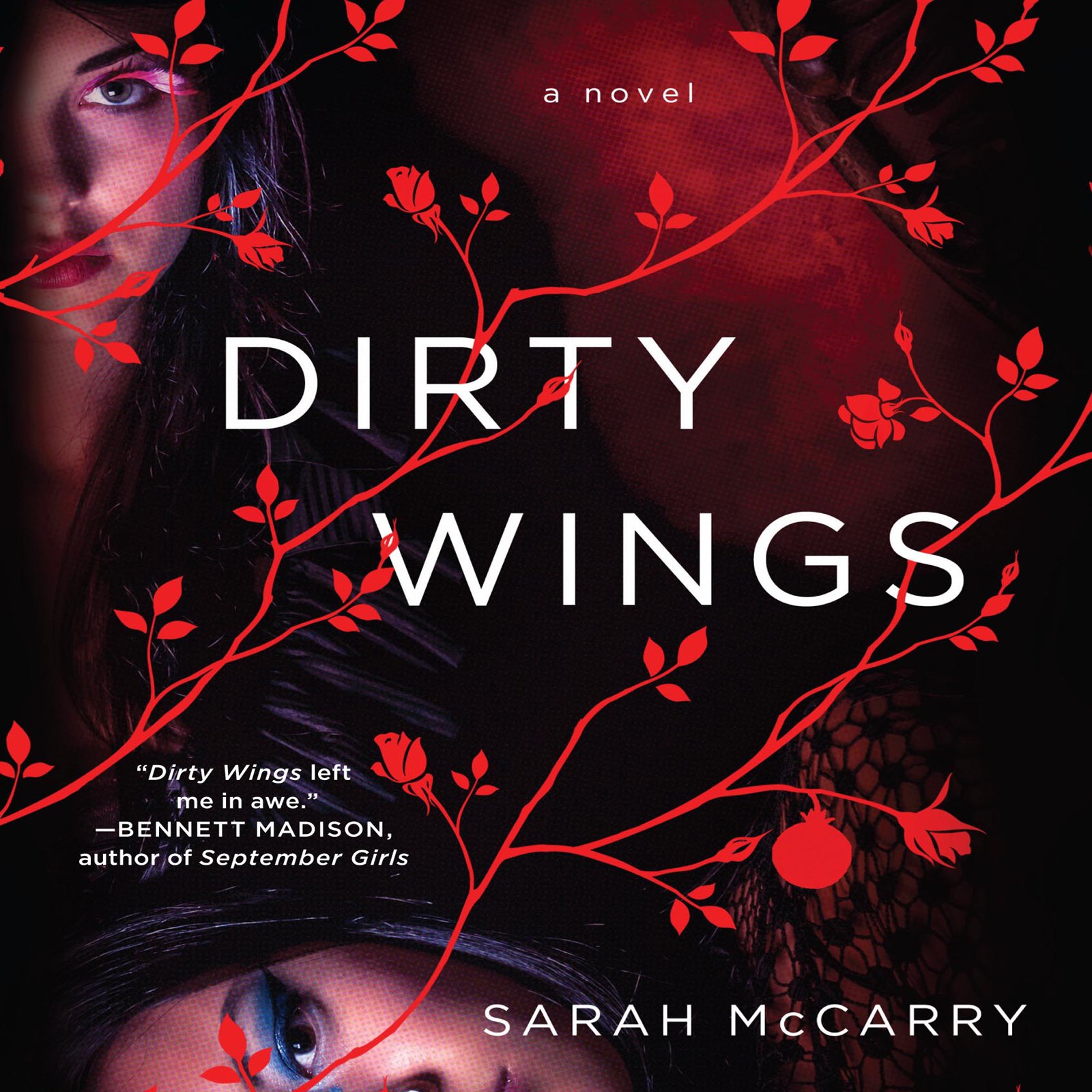 Cover art for Dirty Wings