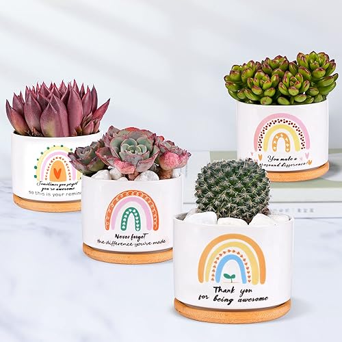 Miniatura 3 de SAIWEILAI - Juego de 9 macetas de cerámica para suculentas con bandejas de bambú, macetas redondas pintadas para decoración de escritorio interior,