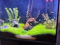 Review Image by Alyssa Alyssa