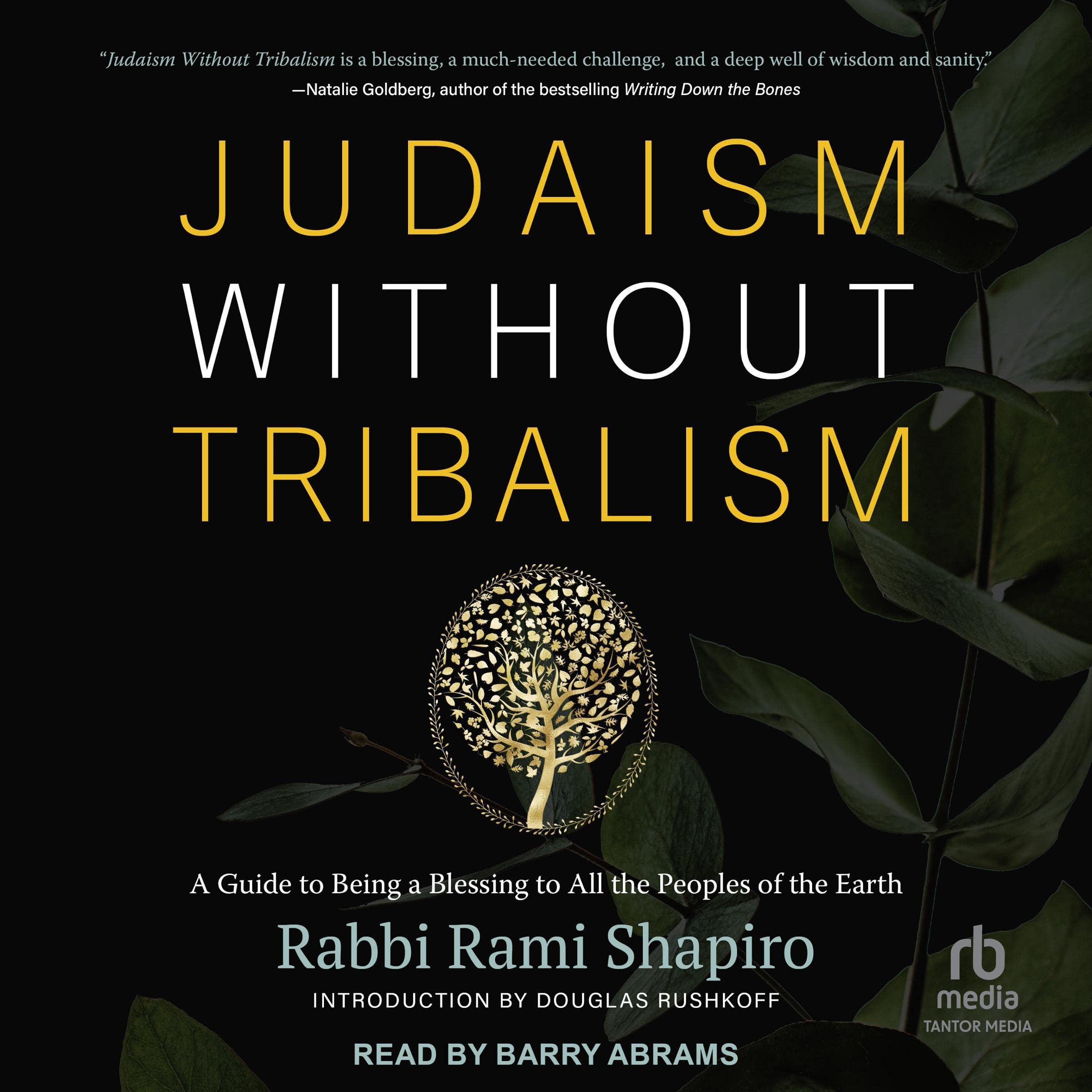 Judaism Without Tribalism