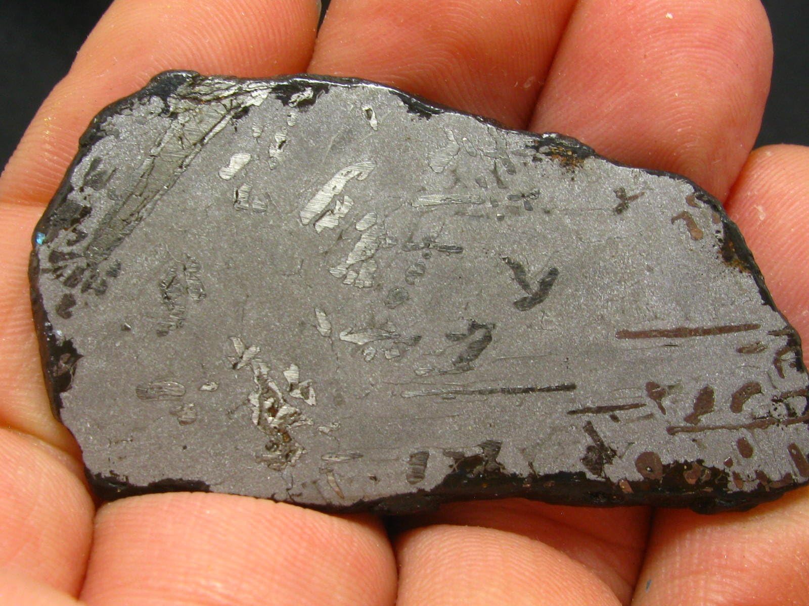 Gibeon Iron Nickel Meteorite From Namibia - 25.6 Grams - 2.2"