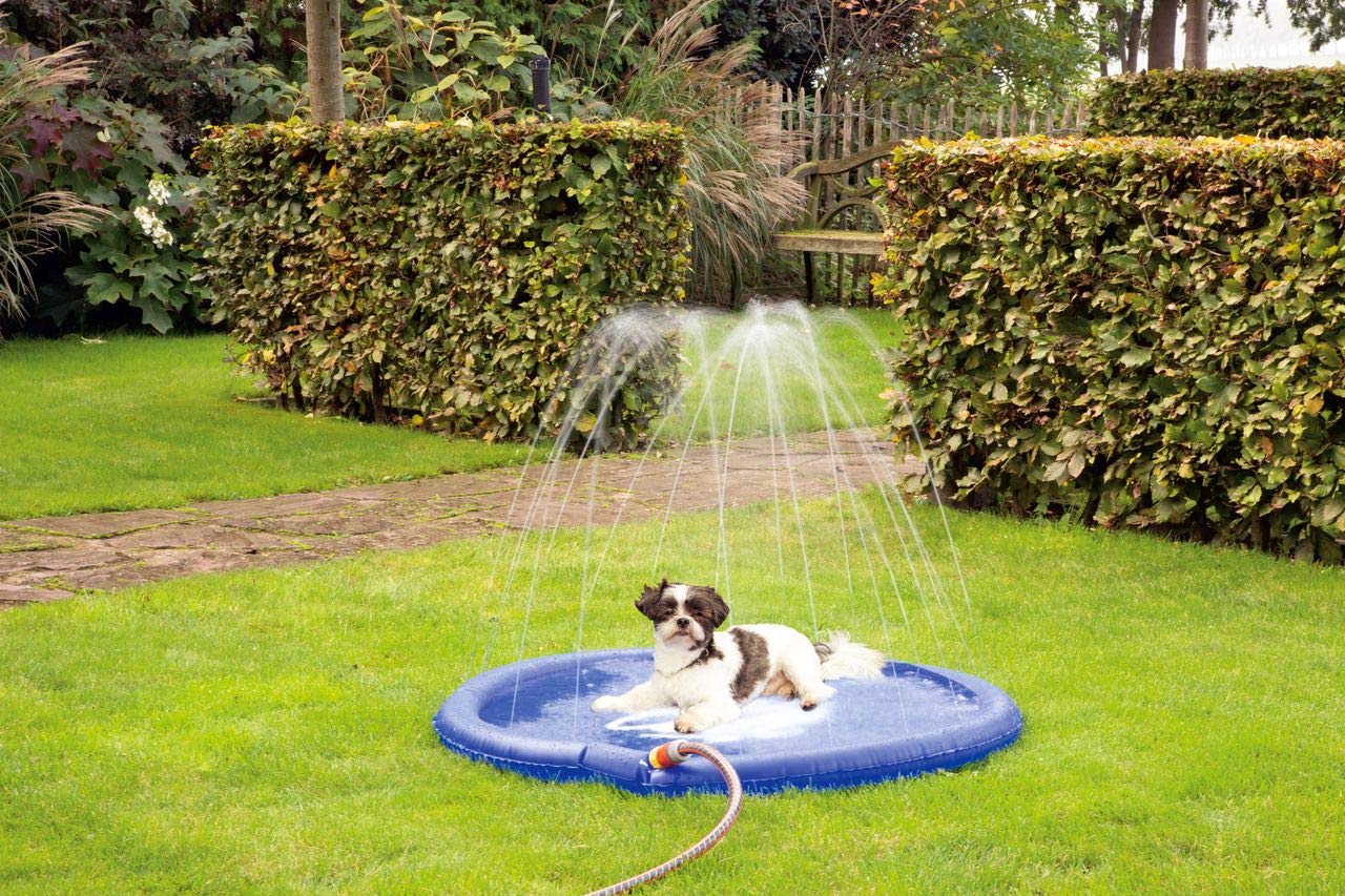 Karlie K Plateforme pour saucisses Splash 100 cm Bleu 250 g