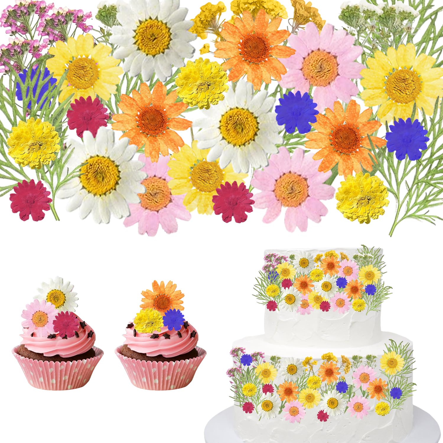41 Pcs Edible Dried Flowers Yellow, Natural Edible Blossoms for Cake Decorating, Cupcake Toppers, Cocktail Garnish, Food Decorations for Baking, Wedding, Birthday Party & Festive Desserts — image 1