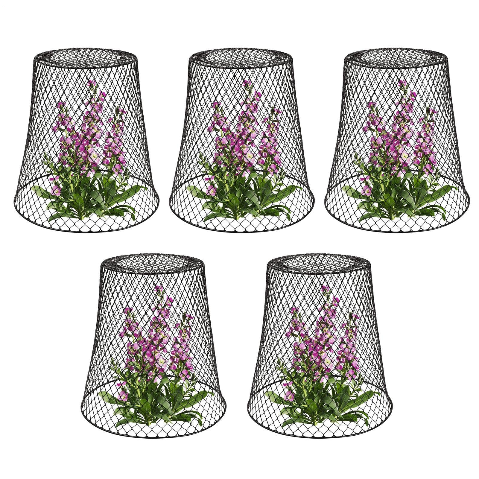 Cloches de Protection pour de Jardin 5 Pièces de Clôture Anti-Animaux en