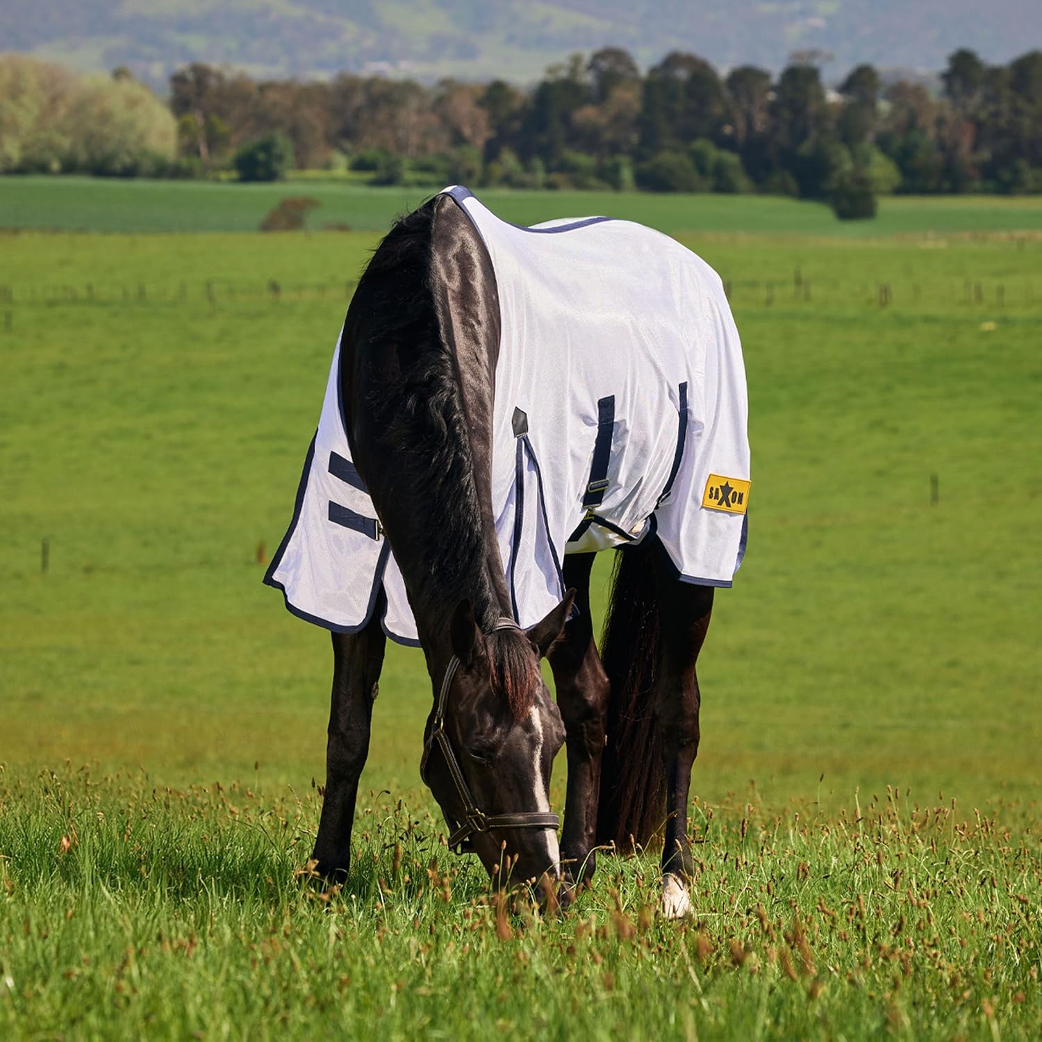 Saxon Mesh with Belly Wrap Fly Sheet, White/Navy, 75"