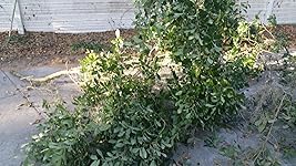 Review Image by How products work How products work